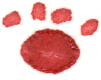 A watercolor paw print in dusty rose and soft red.